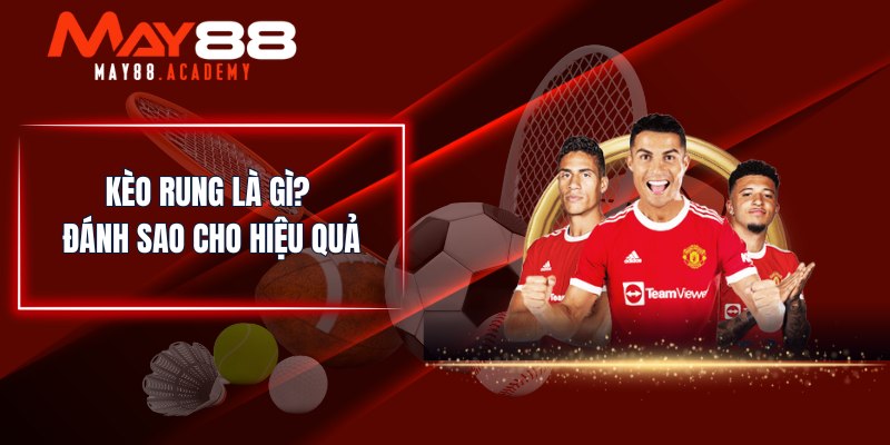 Kèo Rung Là Gì? Giải Thích Và Cách Đánh Hiệu Quả 3 Kèo rung là gì? Đánh sao cho hiệu quả