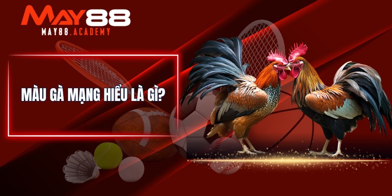 Cách Xem Màu Gà Mạng Chuẩn - Màu Gà Phong Thuỷ Tốt Nhất! 2 Màu gà mạng hiểu là gì?