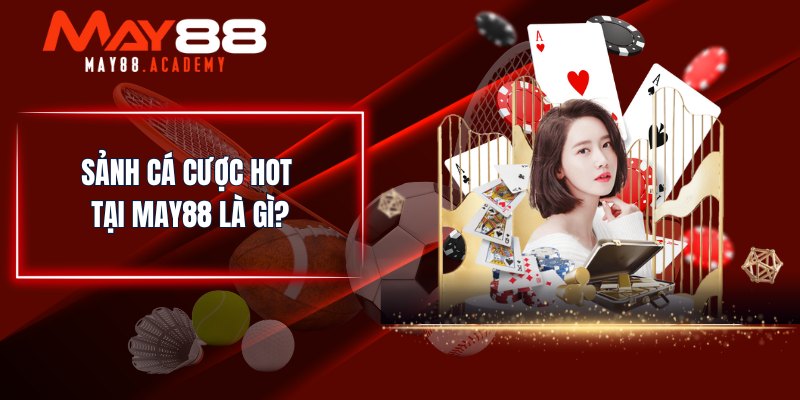 MAY88 Là Gì? Nhà Cái Cá Cược Giải Trí Hút Khách Nhất! 3 Sảnh cá cược hot tại MAY88 là gì?
