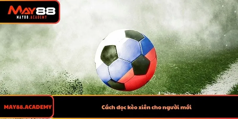 Cách Đọc Kèo Xiên Dễ Hiểu Và Chi Tiết Nhất Dành Cho Tân Thủ 3 Cách đọc kèo xiên cho người mới